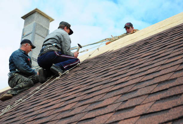 Best Storm Damage Roof Repair  in Montgomery, AL